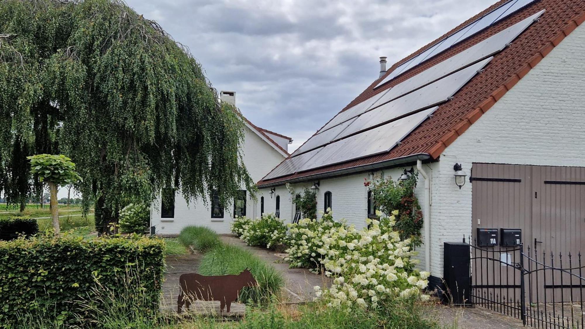 Mariafarm Bed & Breakfast Zevenbergen Eksteriør bilde